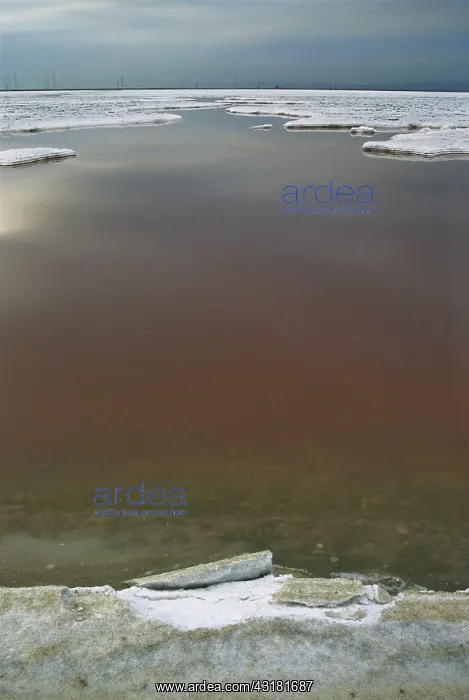 : Salt Ponds in California : Salt Ponds in California