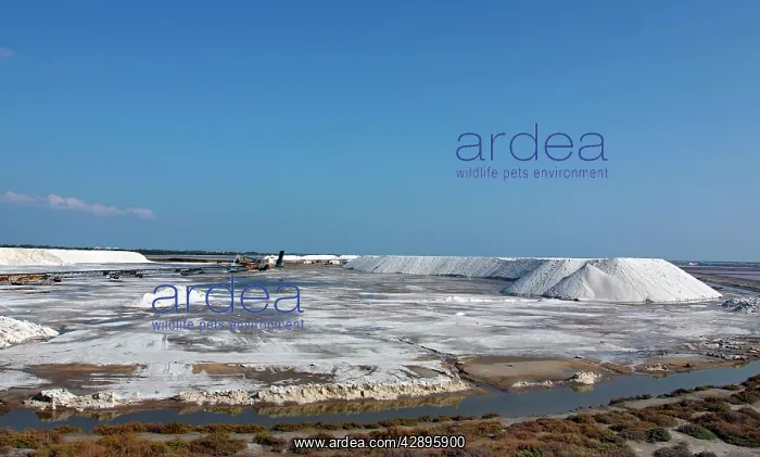 : Salt Production : Salt Production