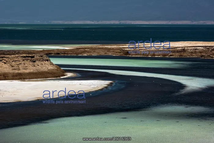  : Salt Reserve