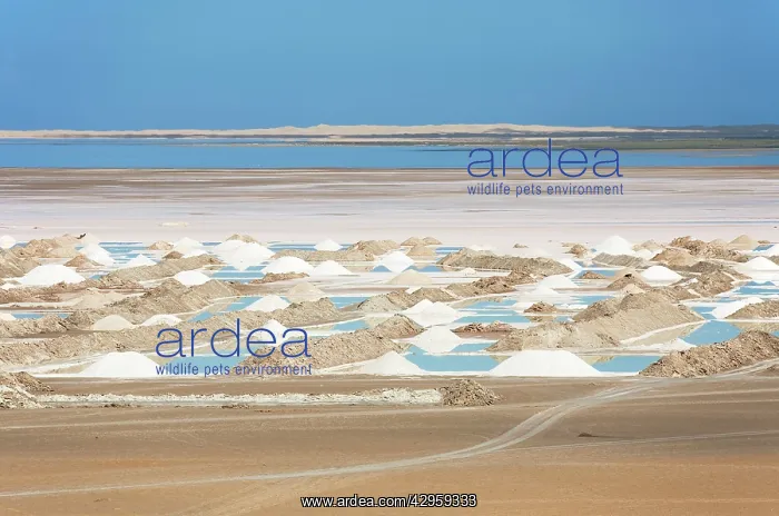 : Salt works at the salt marshes of Sabkhat Tazra : Salt works at the salt marshes of Sabkhat Tazra
