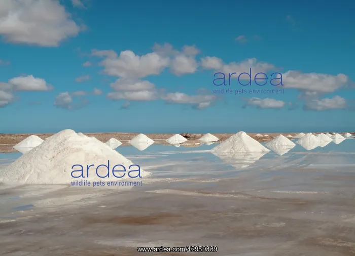 : Salt works at the salt marshes of Sabkhat Tazra : Salt works at the salt marshes of Sabkhat Tazra