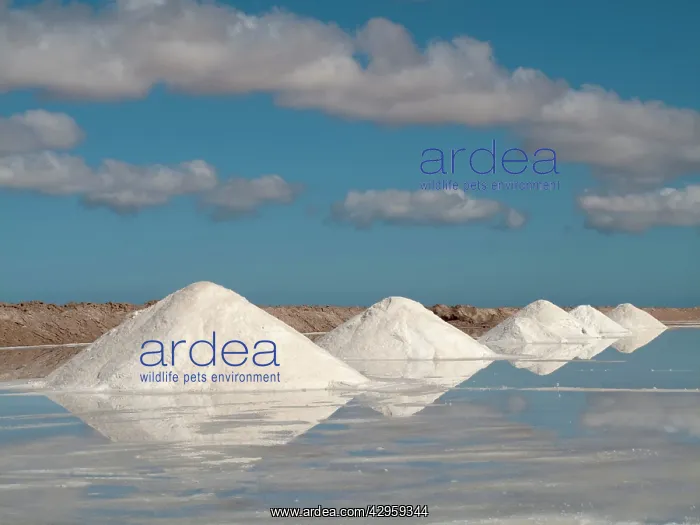 : Salt works at the salt marshes of Sabkhat Tazra : Salt works at the salt marshes of Sabkhat Tazra