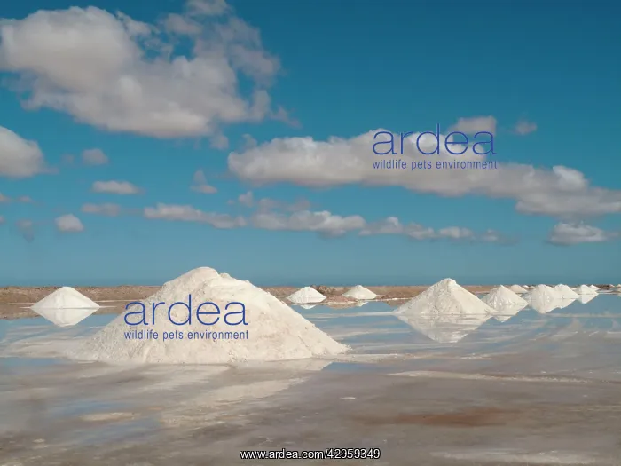 : Salt works at the salt marshes of Sabkhat Tazra : Salt works at the salt marshes of Sabkhat Tazra