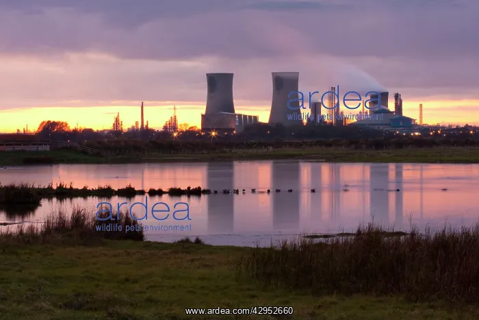 : Saltholme Power Station - cooling towers - emissions : Saltholme Power Station - cooling towers - emissions