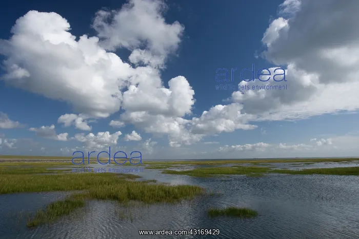 : Salting with clouds, Terschelling : Salting with clouds, Terschelling