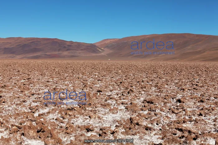 : Saltlake Salar del Hombre Muerto, (approx : Saltlake Salar del Hombre Muerto, (approx