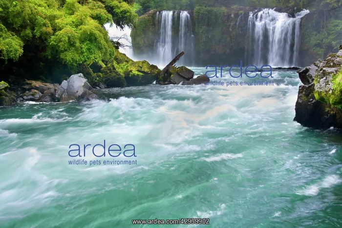 : Salto del Indio - Indio's Falls on the Golgol River : Salto del Indio - Indio's Falls on the Golgol River