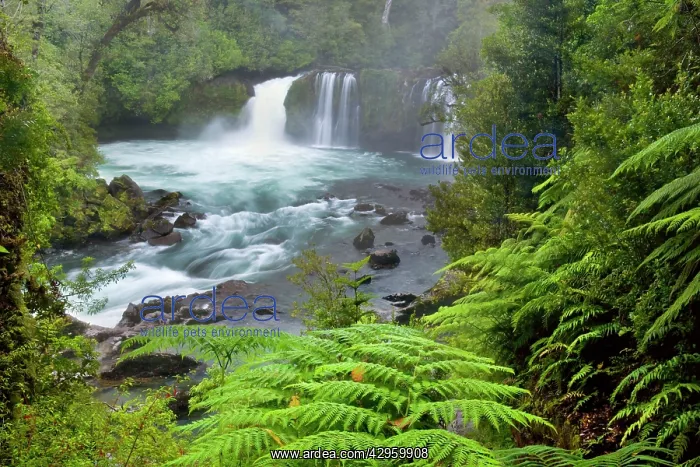  : Salto del Indio - Indio's Falls on the Golgol River