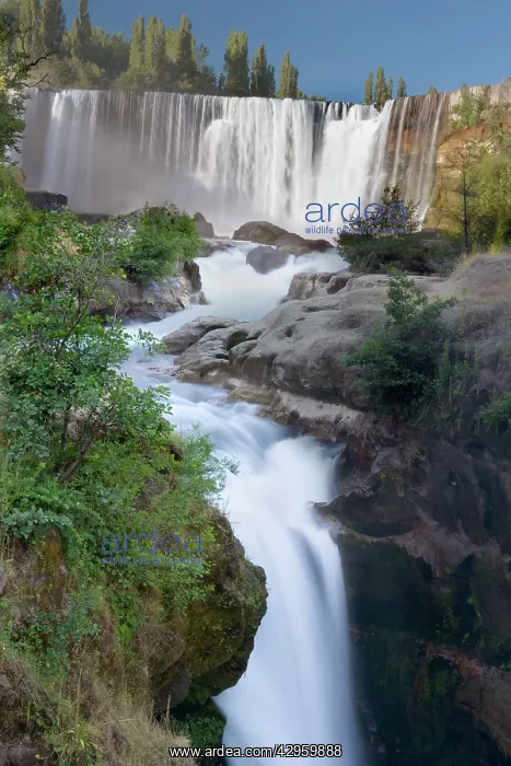: Salto del Laja - del Laja waterfall in summer in : Salto del Laja - del Laja waterfall in summer in
