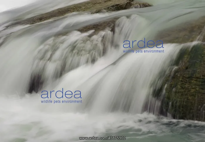 : Salto Grande Waterfall : Salto Grande Waterfall