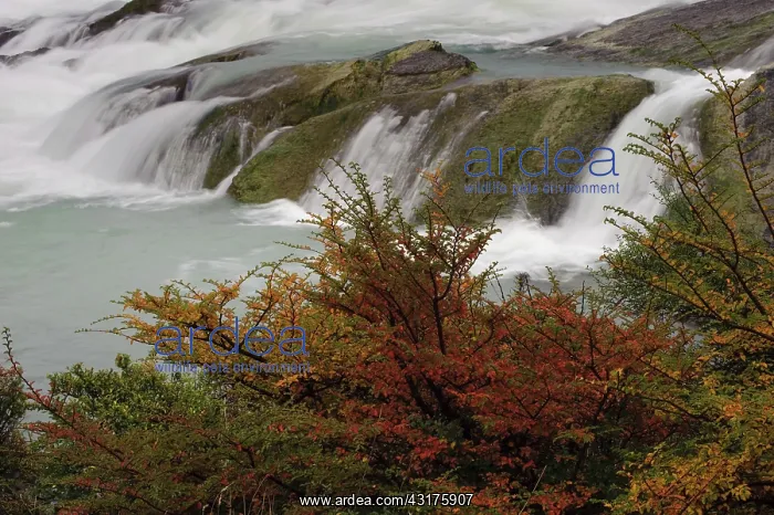 : Salto Grande Waterfall : Salto Grande Waterfall