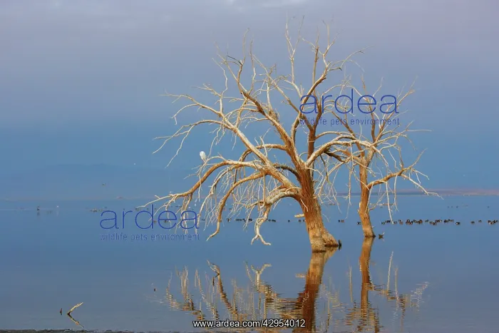  : Salton Sea