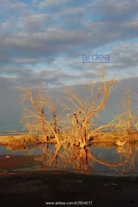  : Salton Sea