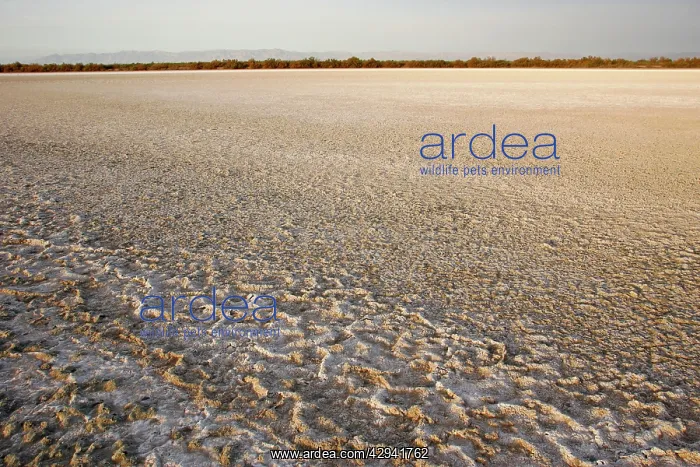: Salton Sea, Southern California : Salton Sea, Southern California