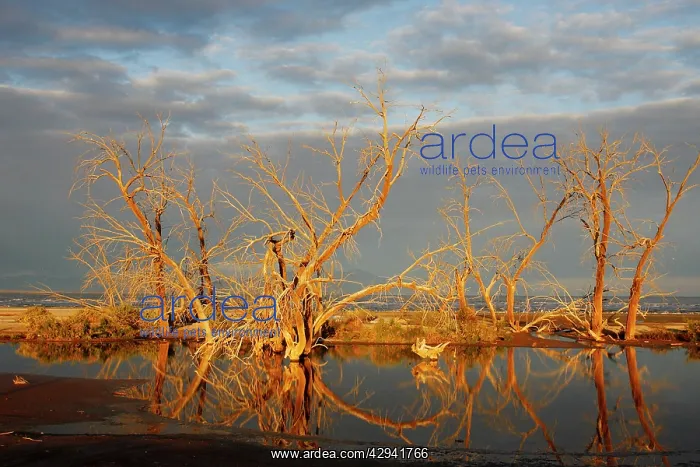 : Salton Sea, Southern California : Salton Sea, Southern California