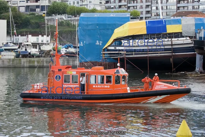 : Salvamento Maritimo in harbour Bermeo Costa Vasca : Salvamento Maritimo in harbour Bermeo Costa Vasca