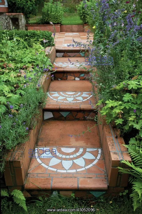 : Salvia : Salvia