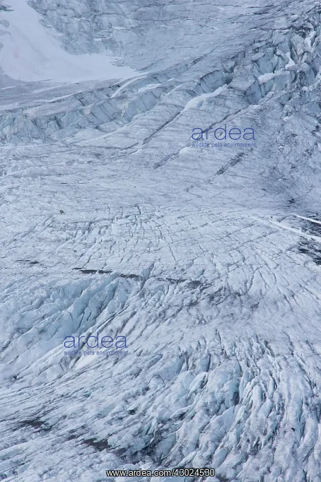 : Samarinbreen Glacier Samarinbreen Hornsund, Svalbard, N : Samarinbreen Glacier Samarinbreen Hornsund, Svalbard, N