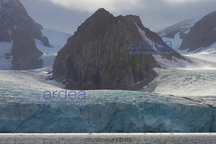  : Samarinbreen Glacier Samarinbreen Hornsund, Svalbard, N