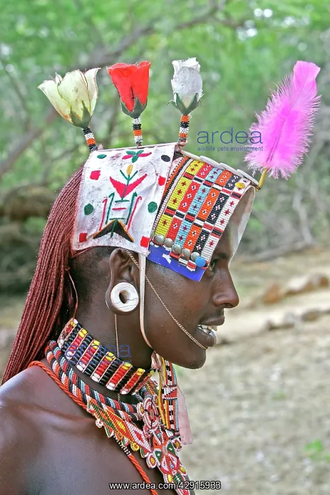 : Samburu Dancer - Kenya - Africa : Samburu Dancer - Kenya - Africa