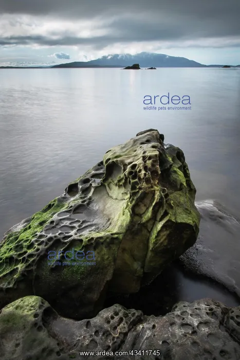 : Samish Bay Wildcat Cove Larrabee State Park, Washington : Samish Bay Wildcat Cove Larrabee State Park, Washington