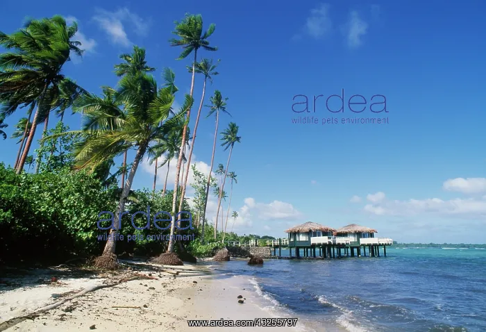 : Samoa, Apia. Coconuts Beach Club Resort : Samoa, Apia. Coconuts Beach Club Resort