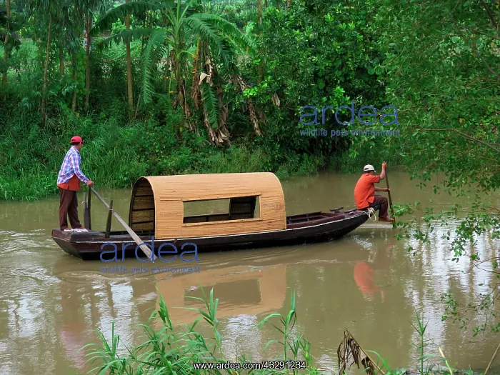 : Sampan, Mekong Delta, Vietnam, Asia : Sampan, Mekong Delta, Vietnam, Asia