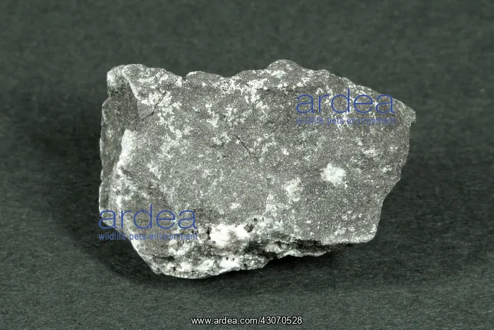 : Sample of Basalt Porphyry : Sample of Basalt Porphyry