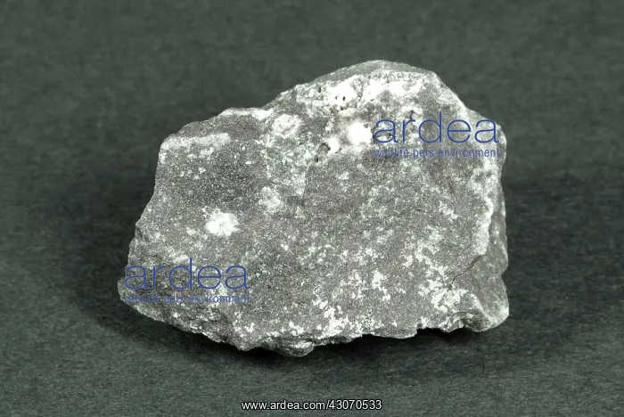 : Sample of Basalt Porphyry : Sample of Basalt Porphyry