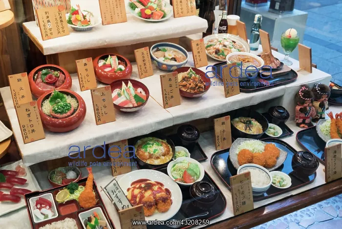 : Sampuru, plastic replicas of meals served in Japanese : Sampuru, plastic replicas of meals served in Japanese
