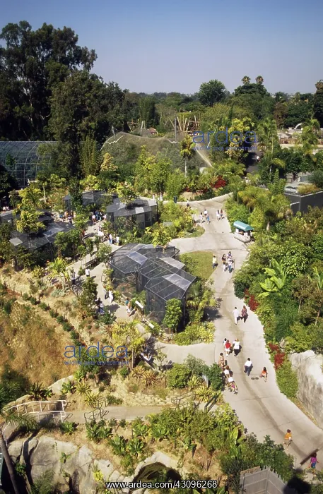 : San Diego Zoo : San Diego Zoo