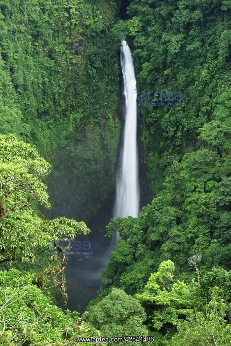 : San Fernando Waterfall : San Fernando Waterfall