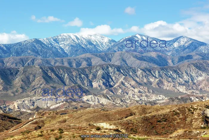 : San Gabriel Mountains Landscape near Los Angeles : San Gabriel Mountains Landscape near Los Angeles