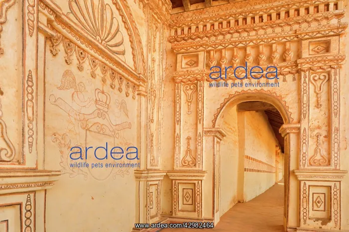 : San Javier mission church - archway of historic : San Javier mission church - archway of historic