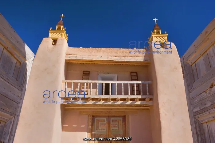 : San Jose de Gracia Church - entrance portal of : San Jose de Gracia Church - entrance portal of