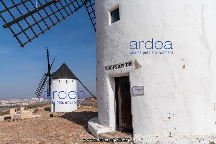 : San Juan de Alcazar, Spain - 27 February, 2021: : San Juan de Alcazar, Spain - 27 February, 2021: