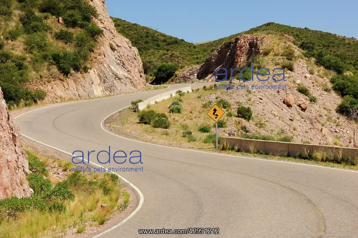 : San Luis Road : San Luis Road