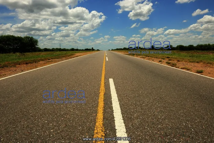 : San Luis Road : San Luis Road