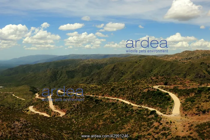  : San Luis Road