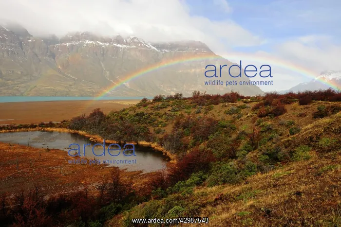 : San Martin Lake : San Martin Lake
