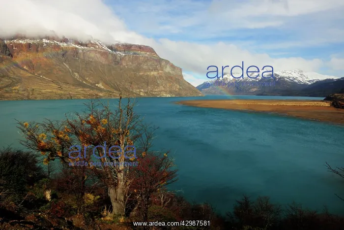  : San Martin Lake - and Rainbow