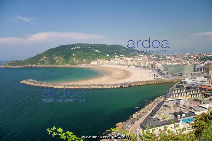 : San Sebastian, Spain. The Basque city of : San Sebastian, Spain. The Basque city of