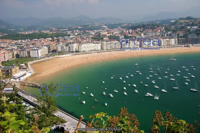 : San Sebastian, Spain. The Basque city of : San Sebastian, Spain. The Basque city of