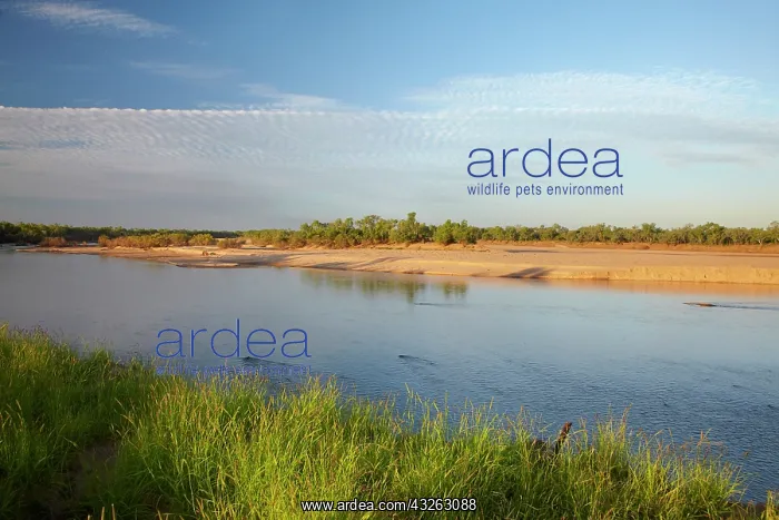 : Sand bank and Fitzroy River, Fitzroy Crossing : Sand bank and Fitzroy River, Fitzroy Crossing