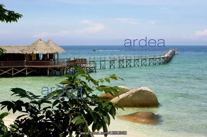 : Sand beach, a bar and a jetty of the small Bagus : Sand beach, a bar and a jetty of the small Bagus