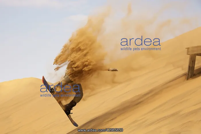 : Sand Boarding - in the dunes of the Namib Desert : Sand Boarding - in the dunes of the Namib Desert