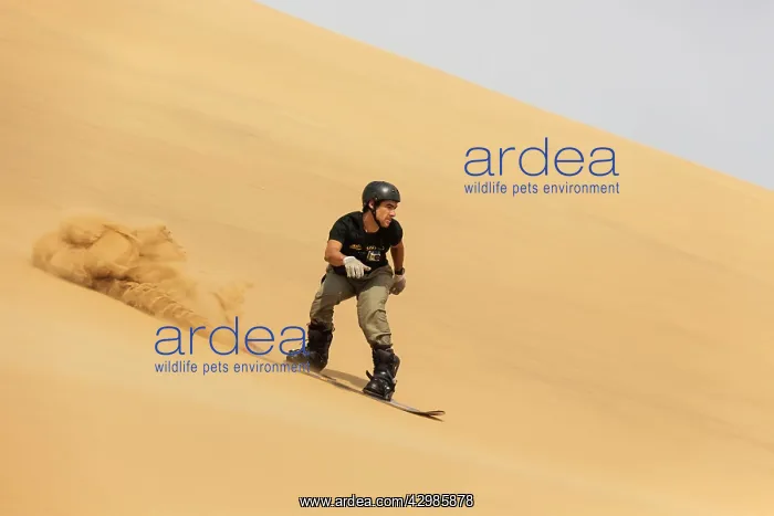 : Sand Boarding - in the dunes of the Namib Desert : Sand Boarding - in the dunes of the Namib Desert