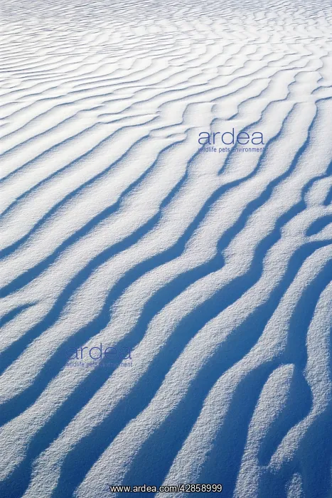  : Sand Dune - structures of a white gypsum dune