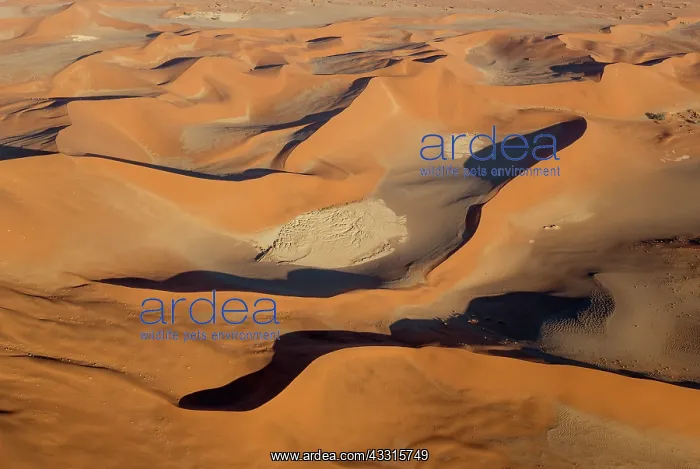 : Sand Dunes : Sand Dunes
