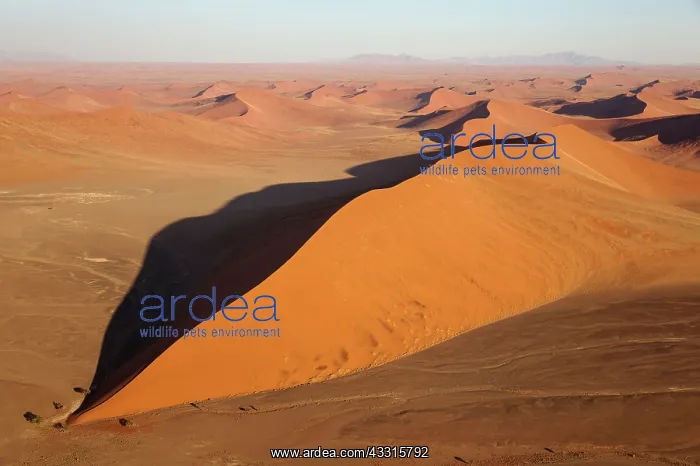  : Sand Dunes